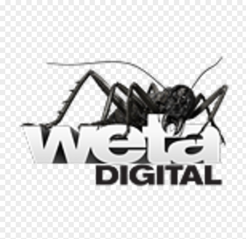 Lord Of The Rings Weta Digital Seasoned & Dressed Computer Animation Logo PNG