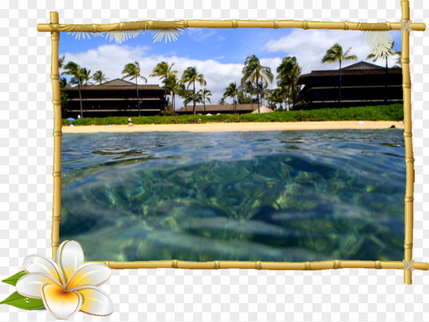 Tropical Frame Hoku Water Sports Poipu Beach Picture Frames Road PNG