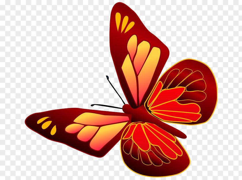 Butterfly Monarch Insect Clip Art PNG