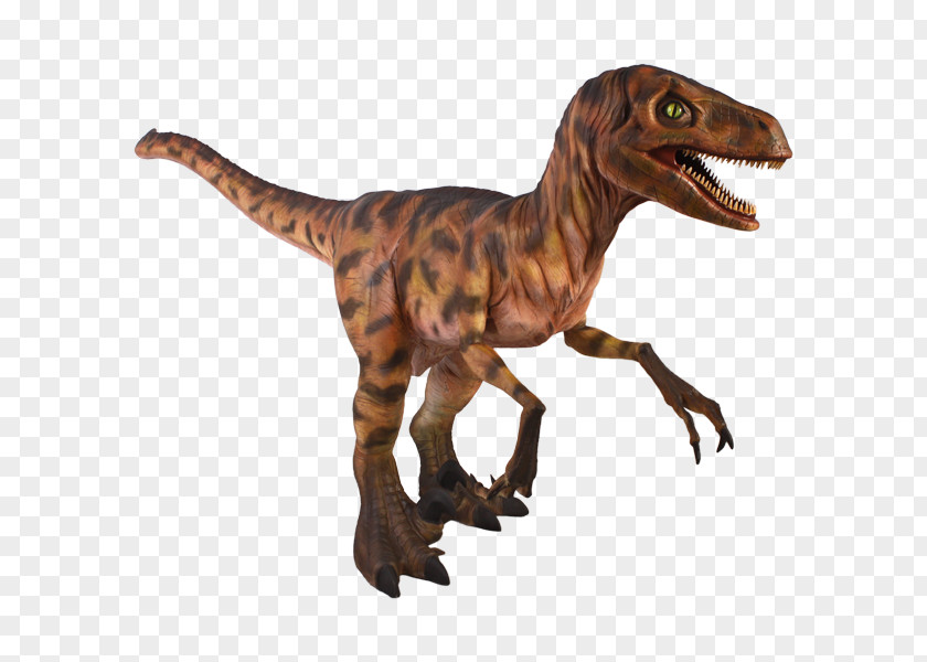 Esculturas De Botero Velociraptor Allosaurus Dinosaur Animal Tyrannosaurus Rex PNG