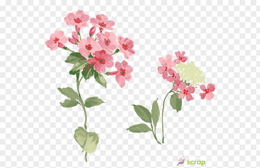 Flower Image Design PNG