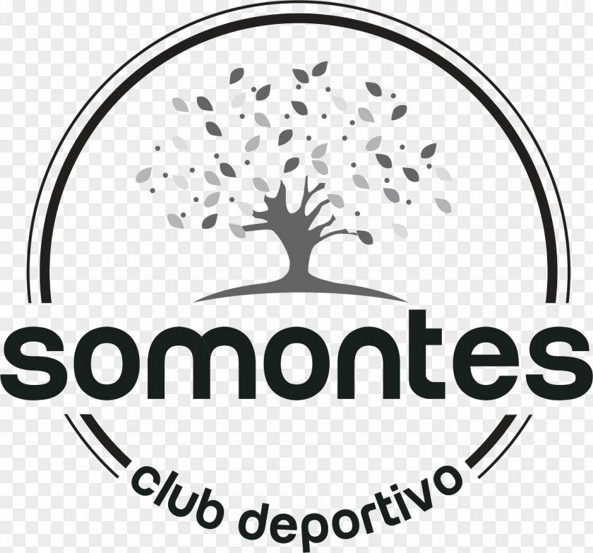Golf Club Deportivo Somontes Madrid Padel PNG