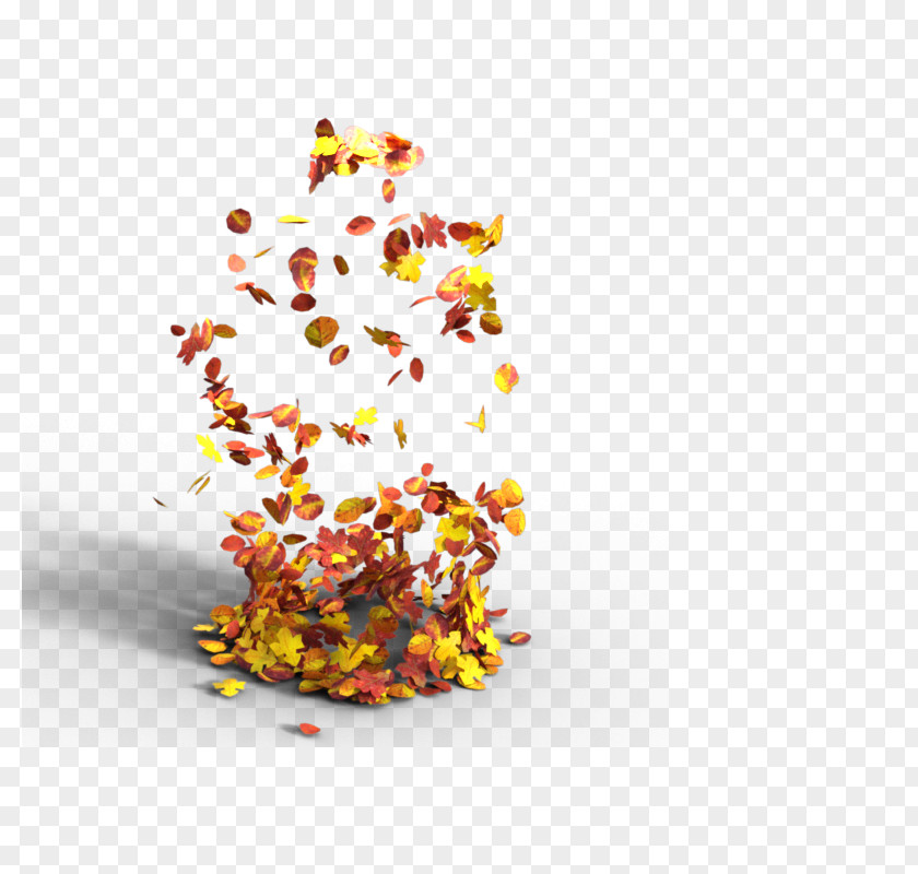 Leaves In Autumn Leaf Computer File PNG
