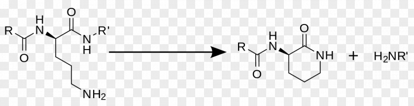 Chemical Synthesis Biochemistry Reaction Enamine PNG