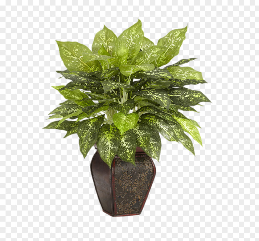Plant Flowerpot Artificial Flower Leaf Dumb Canes PNG