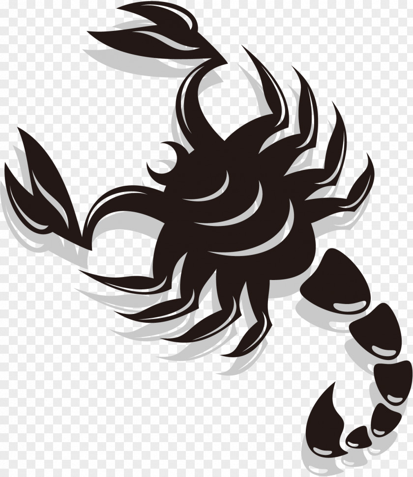 Scorpions Scorpion Euclidean Vector PNG