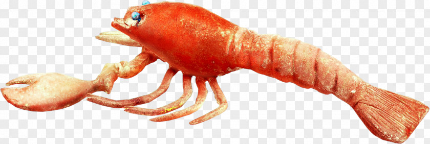 Seafood Lobster Fish PNG