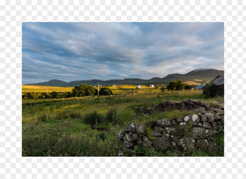Skye Ecoregion Shrubland Grassland Land Lot Real Property PNG