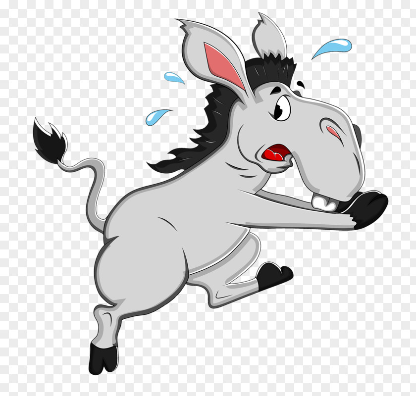 Sweaty Donkey Perspiration Cartoon PNG