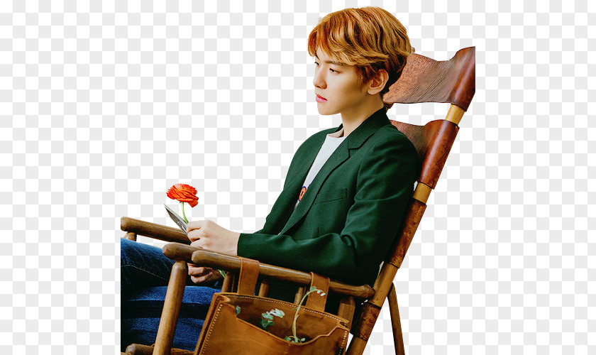 Baekhyun Take You Home EXO K-pop Singer PNG Singer, clipart PNG