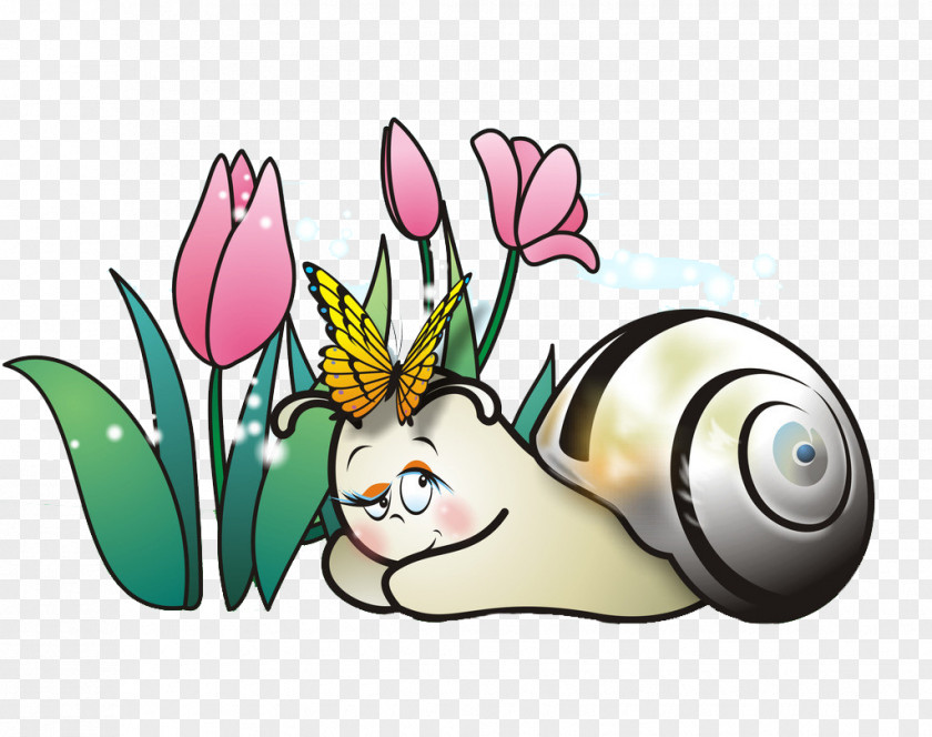 Cartoon Snail Tummy Orthogastropoda Euclidean Vector PNG