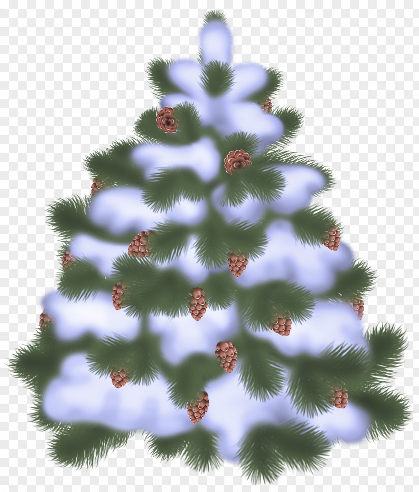 Christmas Tree PNG