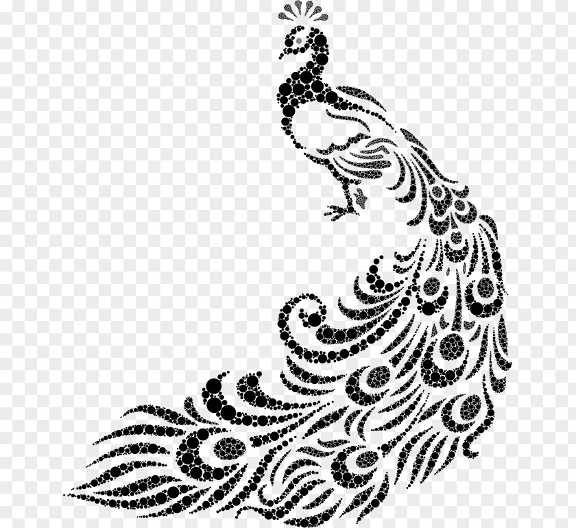 Design Drawing Pavo Clip Art PNG