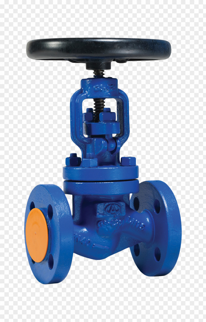 Globe Valve Isolation Gate Metal Bellows PNG