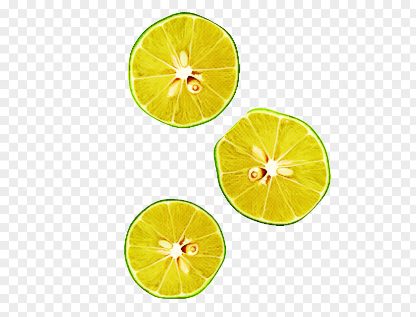 Grapefruit Valencia Orange Cartoon Lemon PNG