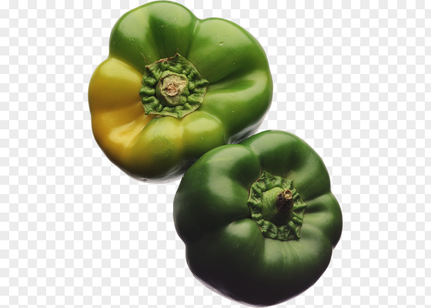 Vegetable Bush Tomato Food Tomatillo Clip Art PNG