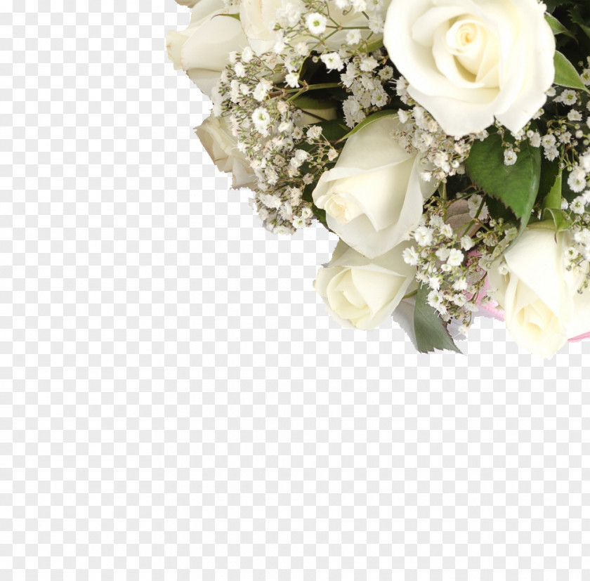 Wedding Agency Photography Marriage Garden Roses Clothing Accessories PNG