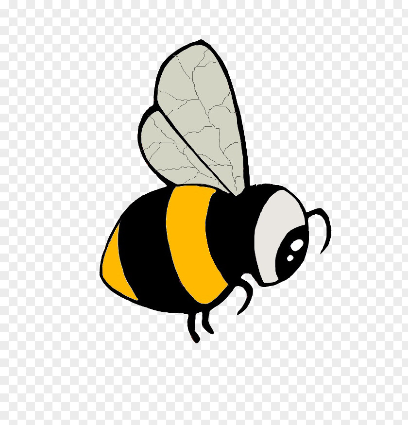 Bee Honey Bumblebee La Humla Suse Clip Art PNG