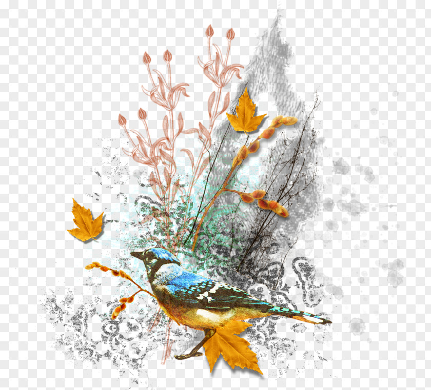 Bird Watercolor Painting Image PNG