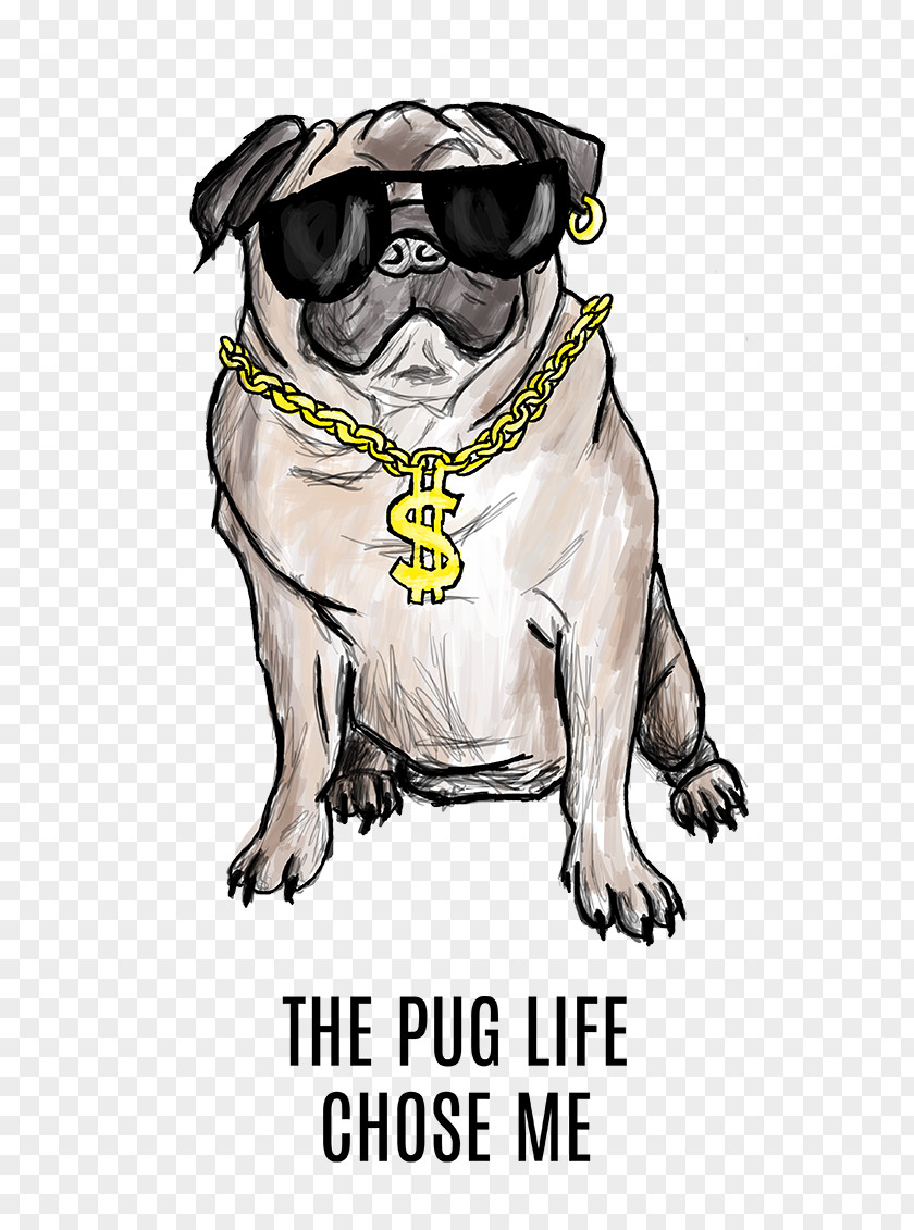 Pug All Cappuccino Cafe Blaumaņa Street Dog Breed PNG