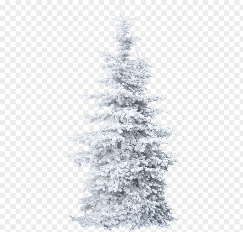 Tree Christmas Clip Art PNG