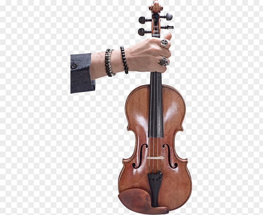 Violin String Instruments Viola Cello Musical PNG