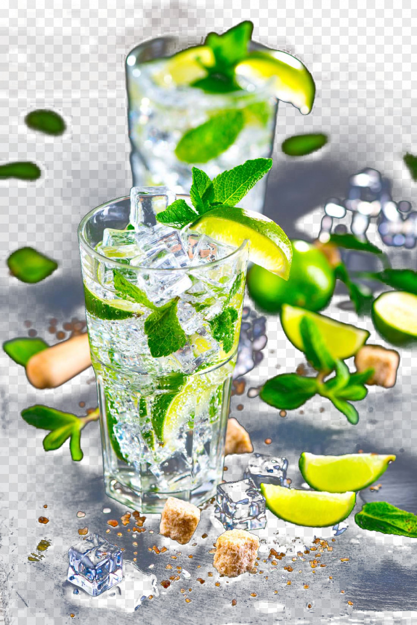 Cocktail Lemon Ice Cubes Mojito Garnish Gin And Tonic Vodka PNG