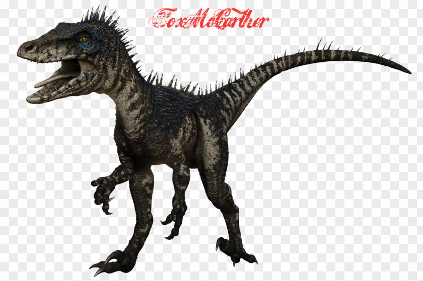 Dinosaur Deinonychus Velociraptor Spinosaurus Utahraptor PNG