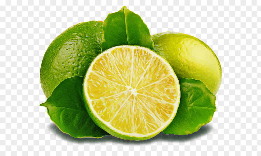 Food Sweet Lemon Persian Lime Key Citrus Kaffir PNG