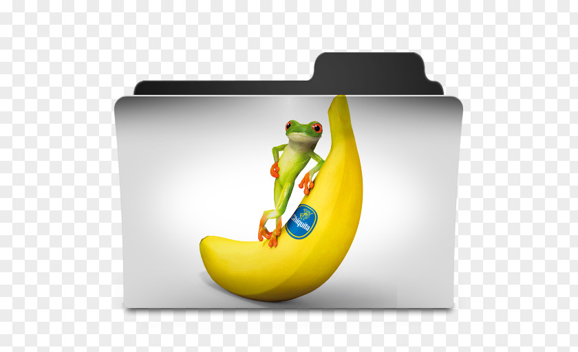 Frog Banana Directory PNG