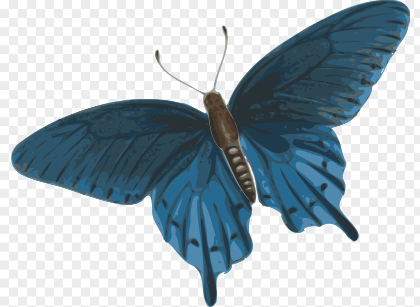 Paper Butterfly Insect Clip Art PNG