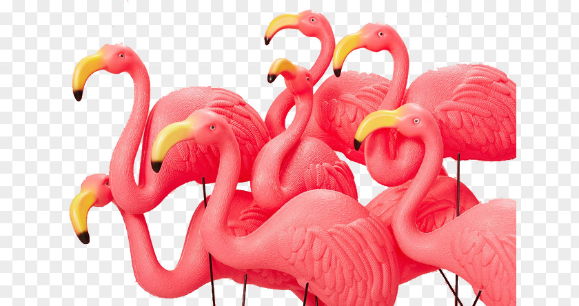 Crane Greater Flamingo Pink PNG