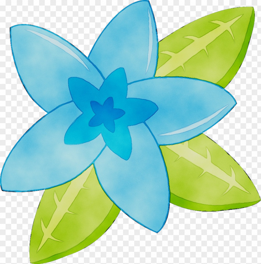 Leaf PNG