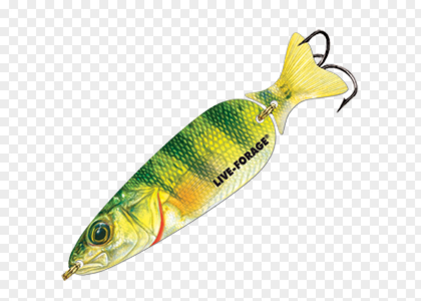 Spoon Lure Oily Fish Perch AC Power Plugs And Sockets PNG