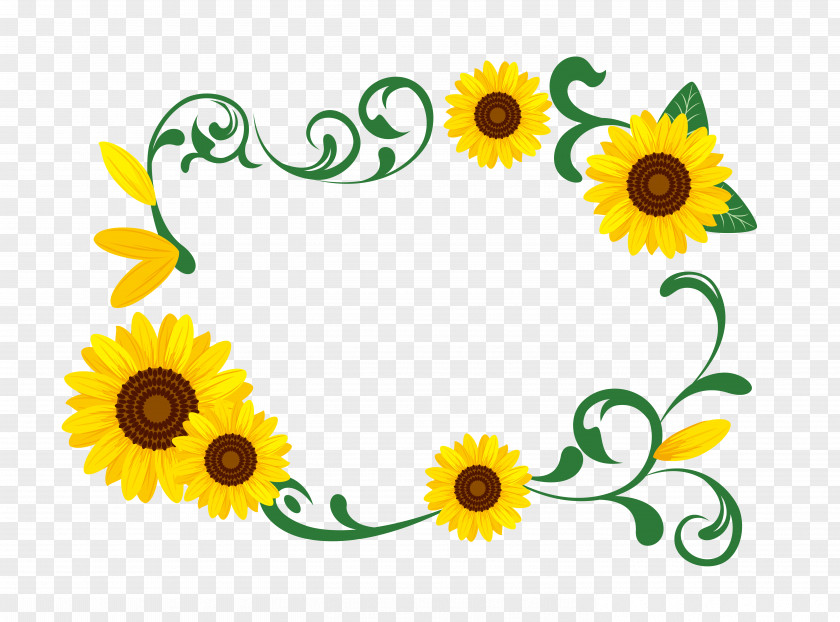 Sunflower Garland Common Photography Illustration PNG