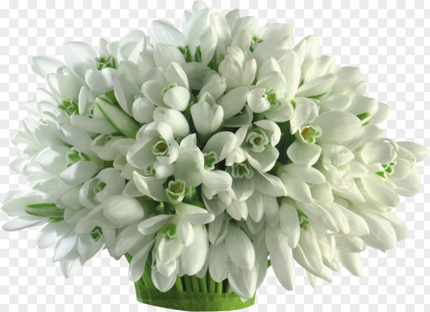 Bouquet Of Flowers Mărțișor March 1 Girlfriend Snowdrop Love PNG