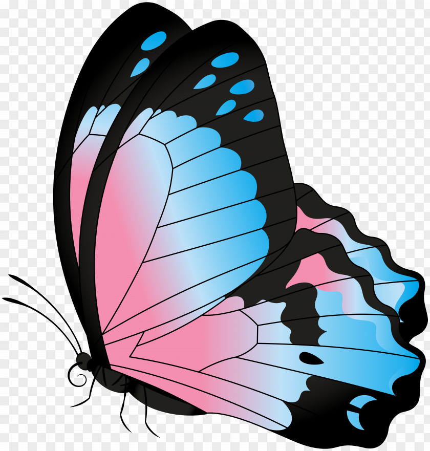 Butterfly Blue Pink Transparent Clip Art Image PNG