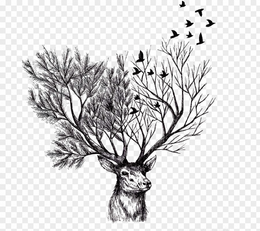 Deer Paper Tree Drawing Illustration PNG
