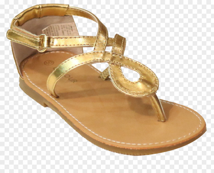 Ladies Sandal Transparent Image Shoe PNG