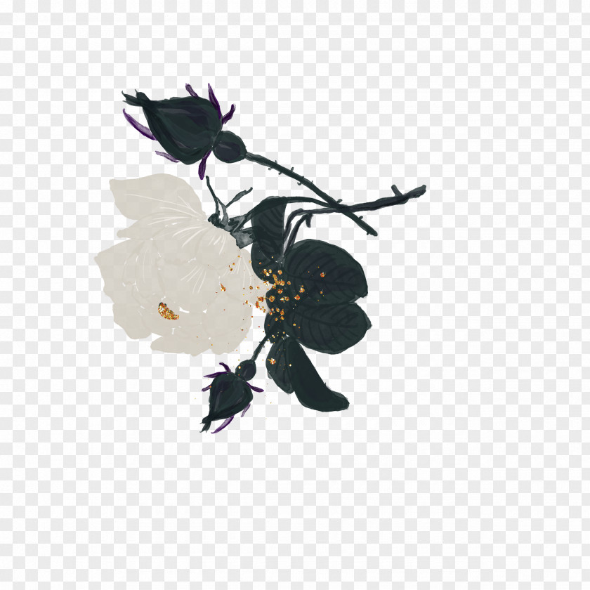 Painted Black Roses Rose Clip Art PNG