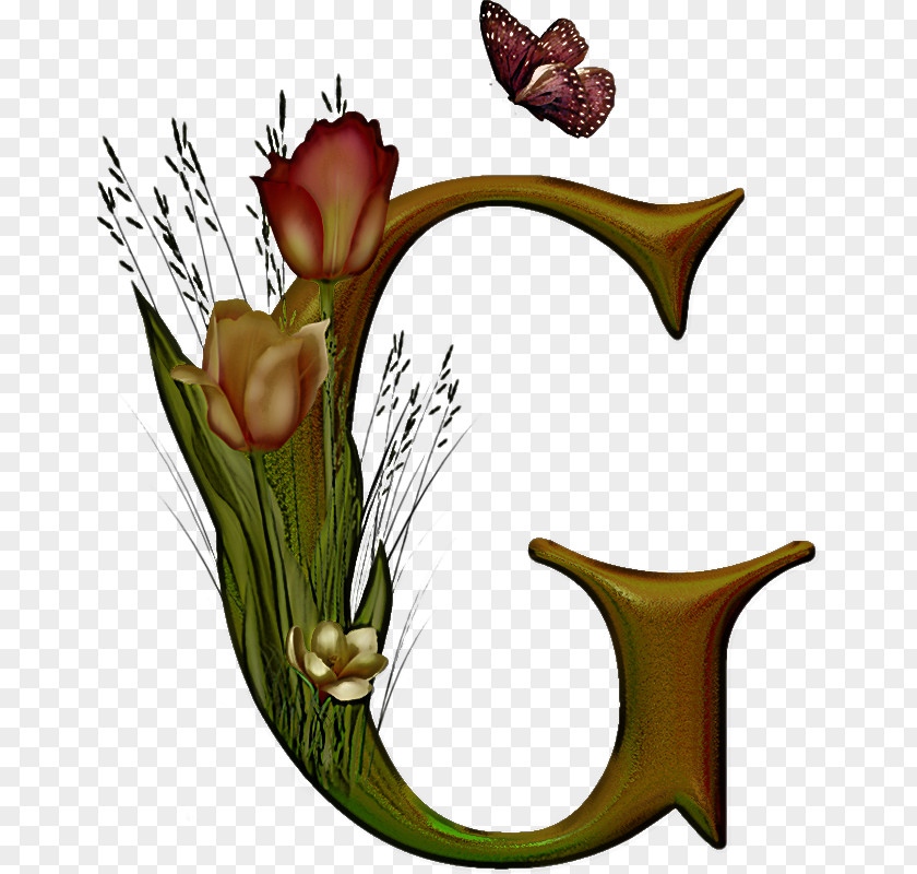 Plant Flower Carnivorous Nepenthes PNG
