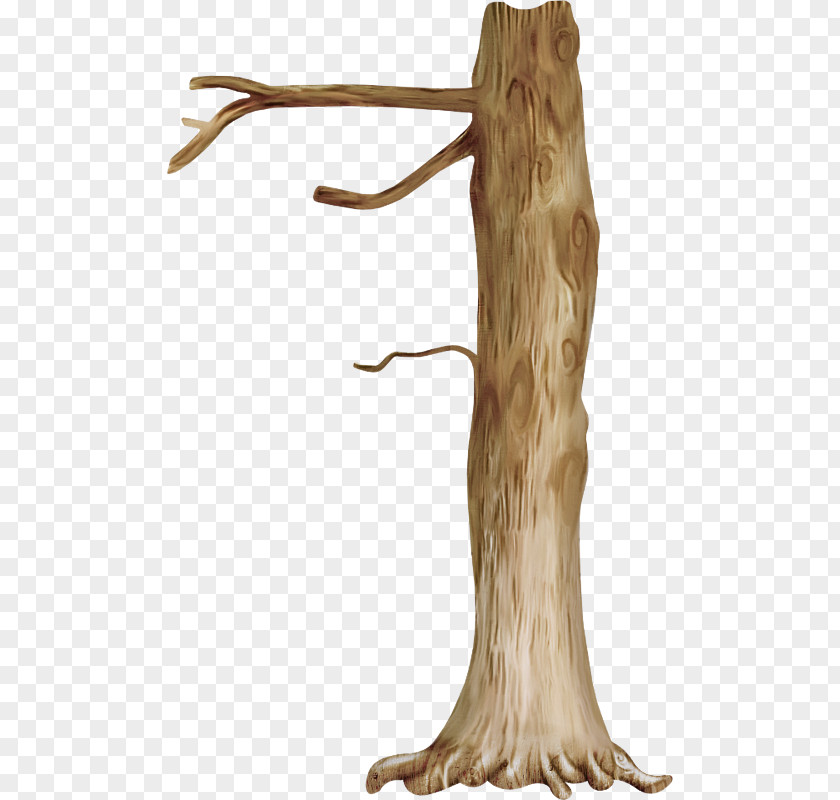 Plant Stem Table Tree Wood Branch Trunk Woody PNG