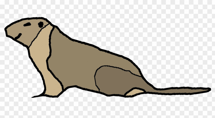 Walrus Sea Lion Beaver Marmot Mustelids PNG