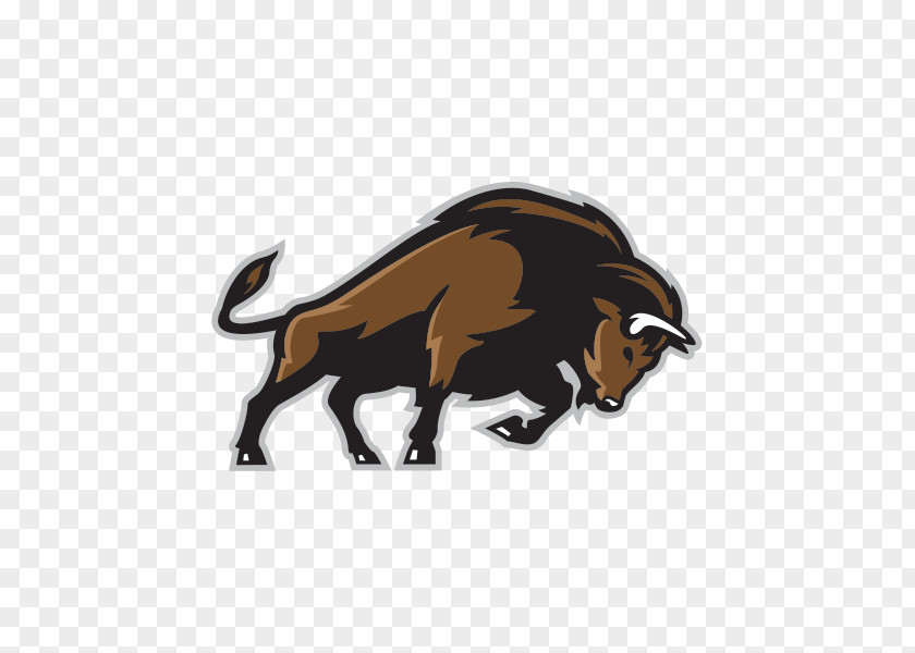 Bison Bonasus American Drawing PNG