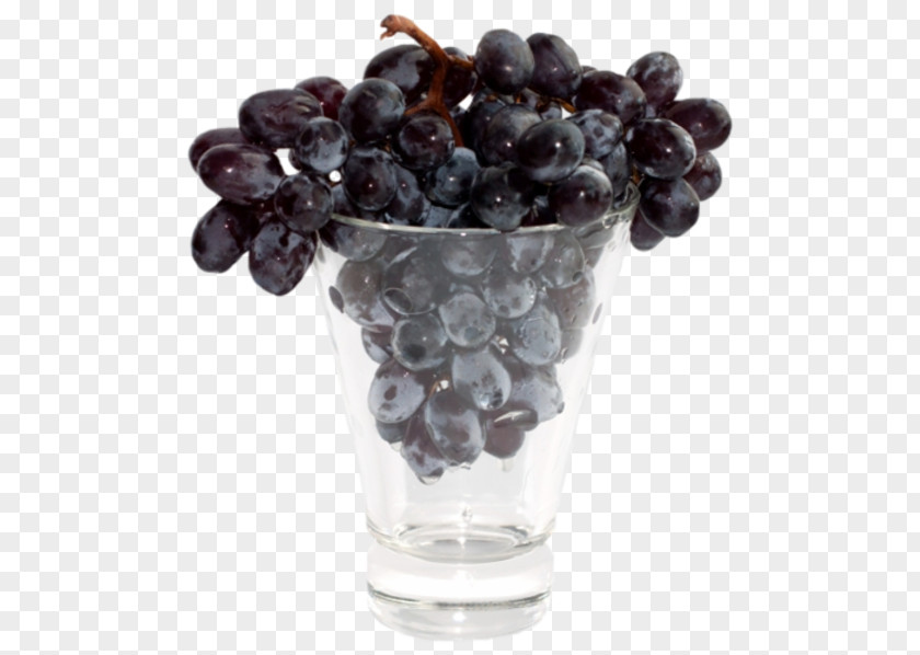 Grape Grapevines PNG