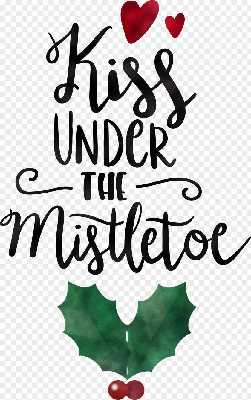 Kiss Under The Mistletoe PNG