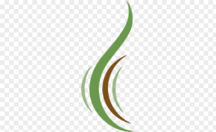 Leaf Crescent Logo Plant Stem Line PNG