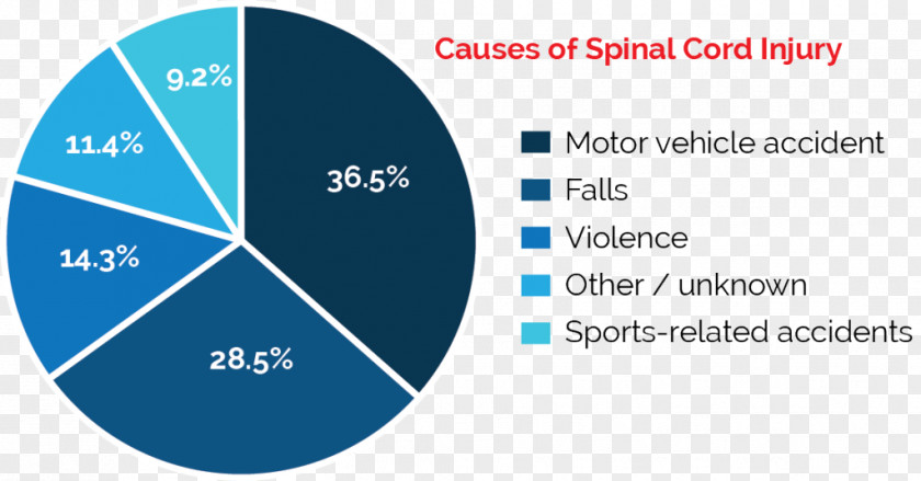 National Pattern Spinal Cord Injury Medicine Vertebral Column PNG
