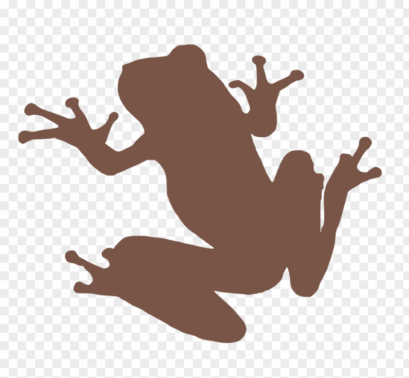Silhouette Tree Frog Pond Cartoon PNG