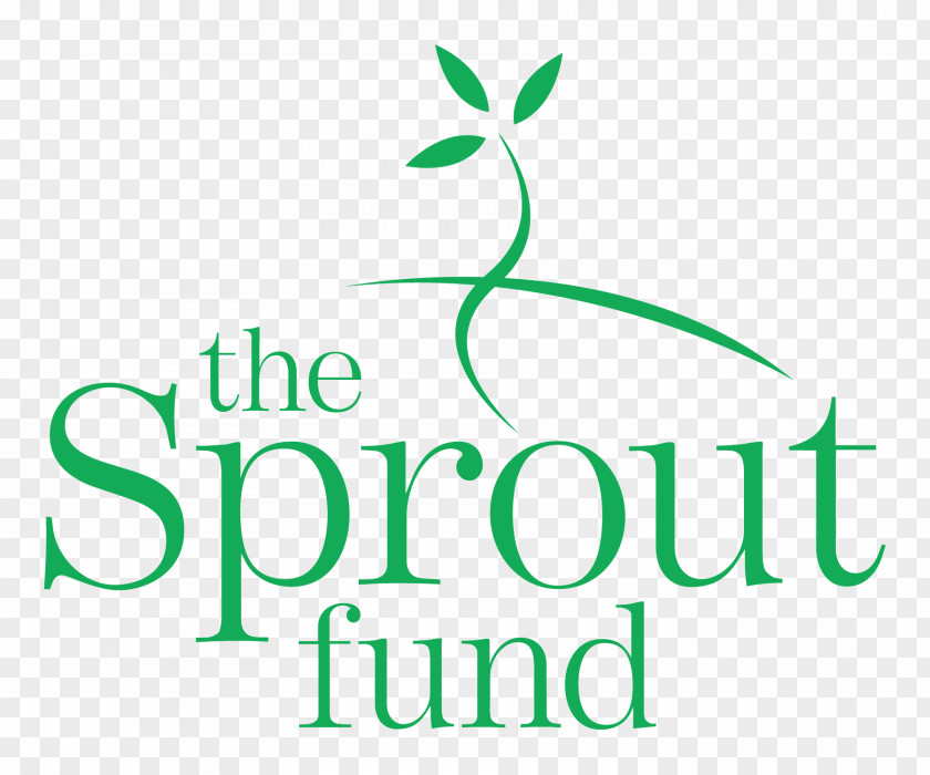 Carnegie Mellon University The Sprout Fund Organization Learning Non-profit Organisation PNG